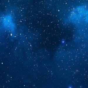 Meet your Posher, Avery